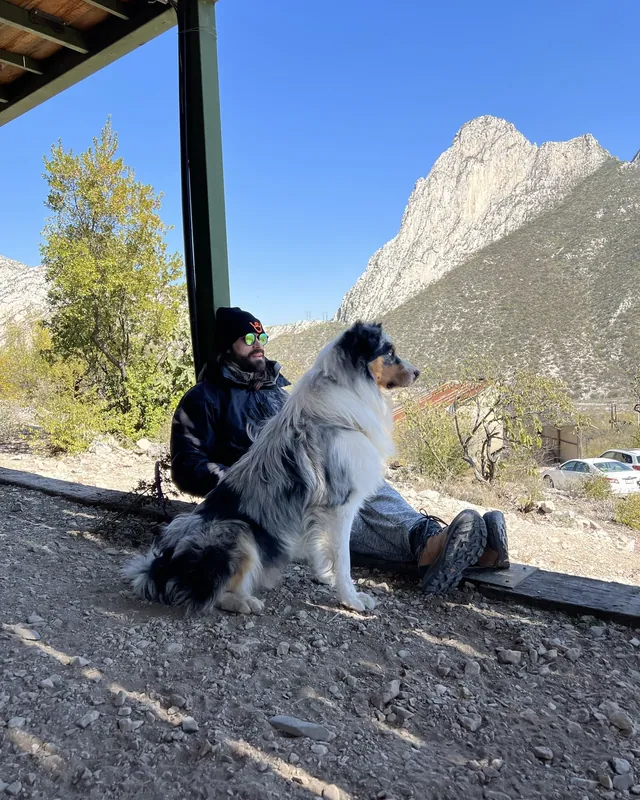 Blue merle Australian Shepherd sitting in the shade beside its owner, with mountains behind them